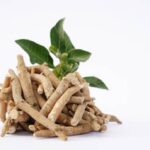 Extrato de Ginkgo Biloba